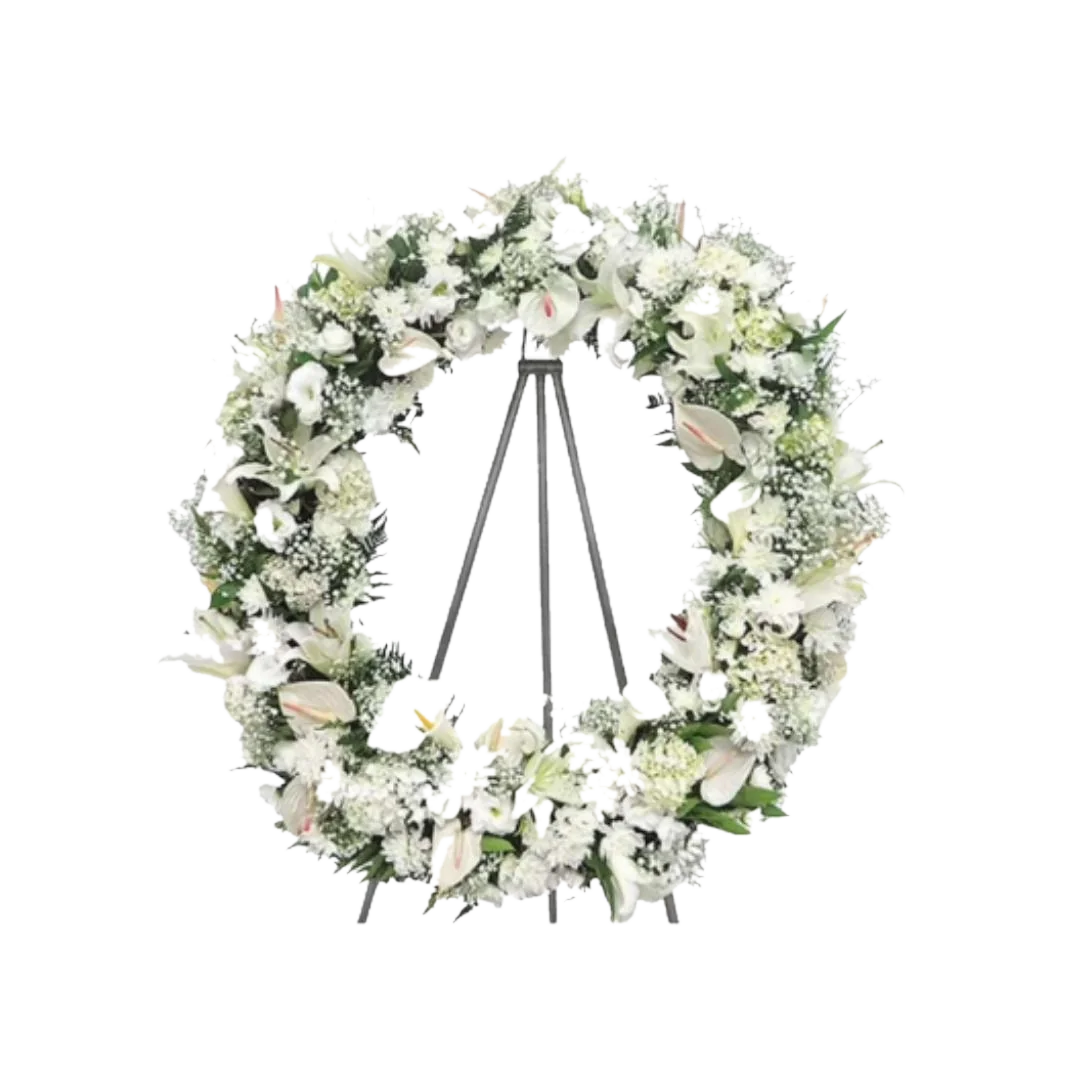 Arco Americano branco